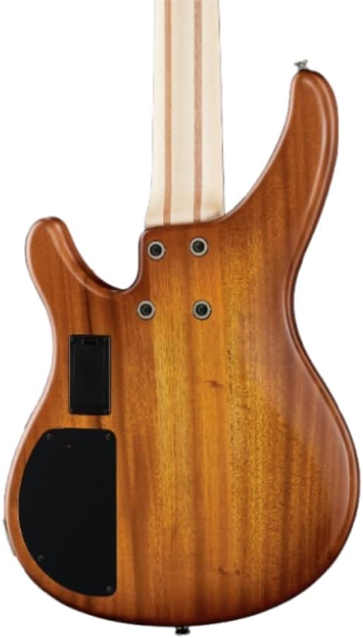 Yamaha TRBX505 5-String Bass Guitar - Brick Burst