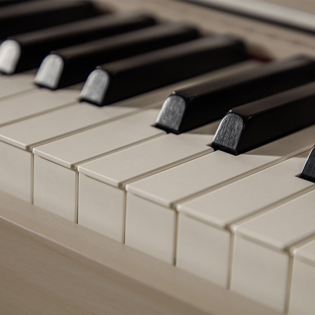 Casio AP-750 Celviano 88-Key Digital Piano - Gray Beige w/ Cover