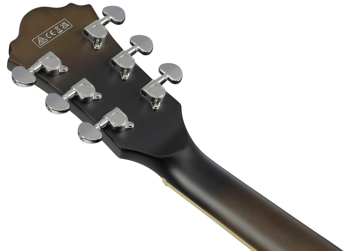 Ibanez AS53 AS Artcore Hollow Body Electric Guitar - Transparent Black Flat w/ Amplifier