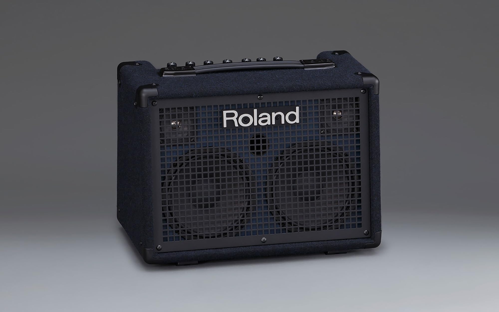 Roland KC-220 Battery-Powered Stereo Keyboard Amplifier w/ Instrument Cable