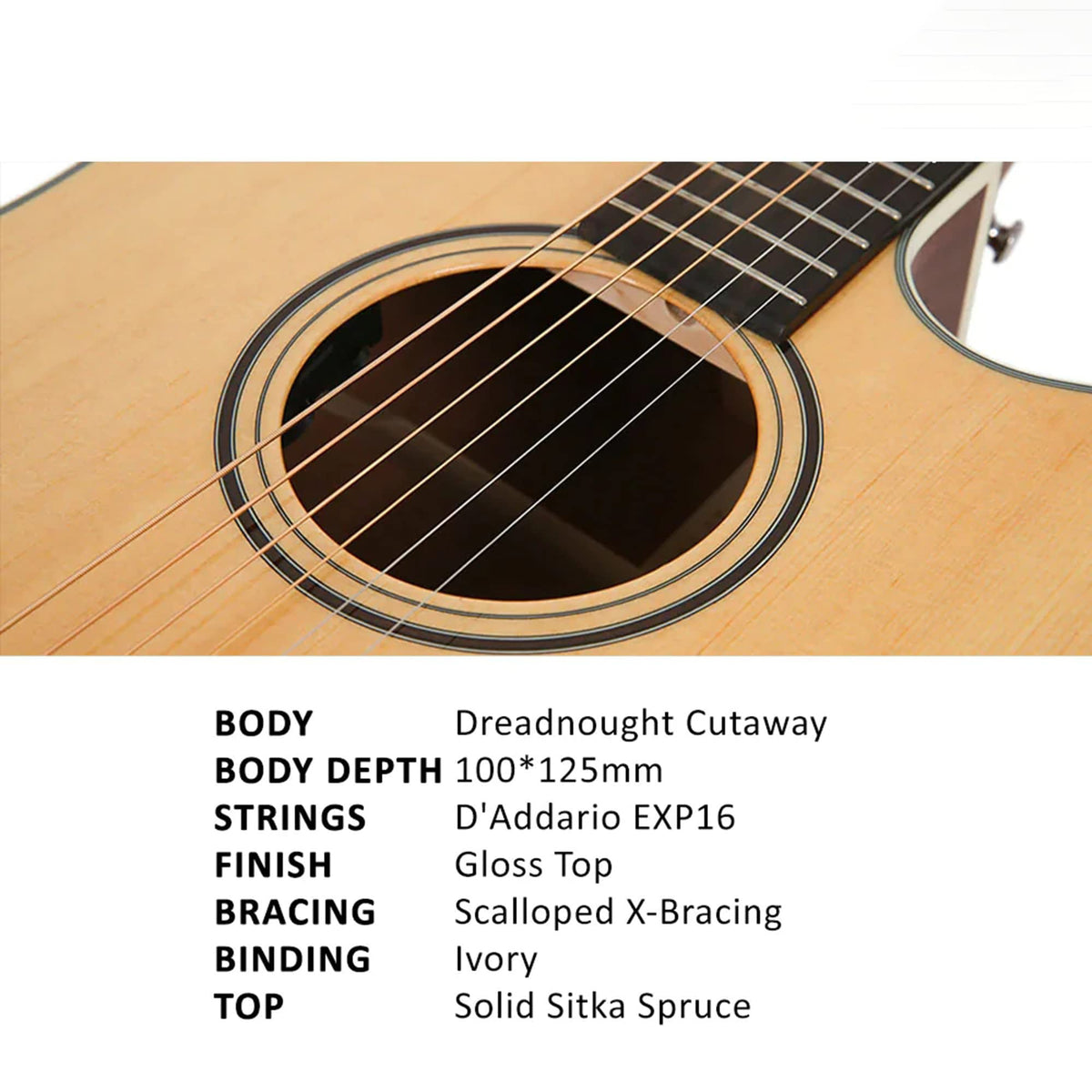 Parkwood S26GT Dreadnought Body Semi Acoustic Guitar - Natural