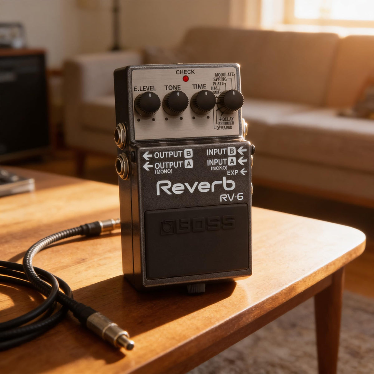 Boss RV-6 Reverb w/ Power Supply