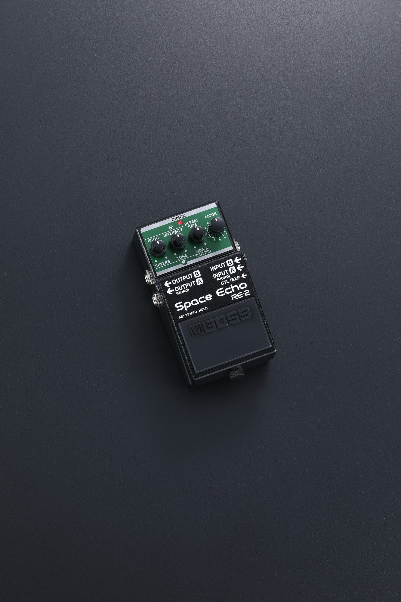 Boss RE-2 Space Echo Delay and Reverb Effects w/ Instrument Cables