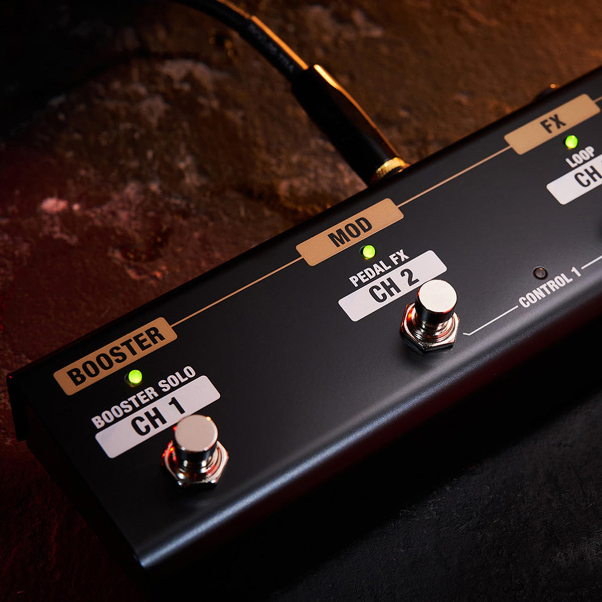 Boss GA-FC-EX Foot Controller w/ Instrument Cable