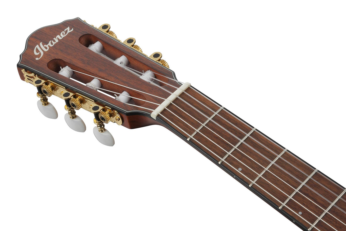 Ibanez FRH10N FRH Nylon String Acoustic-Electric Guitar - Rose Gold Metallic Flat w/ Case