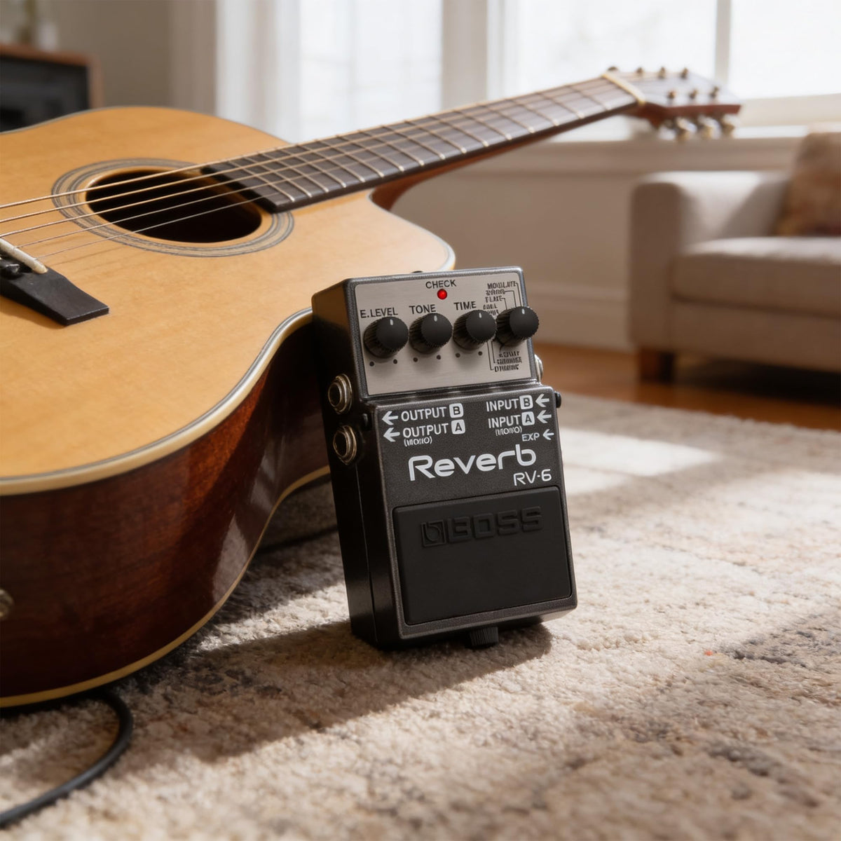 Boss RV-6 Reverb w/ Power Supply
