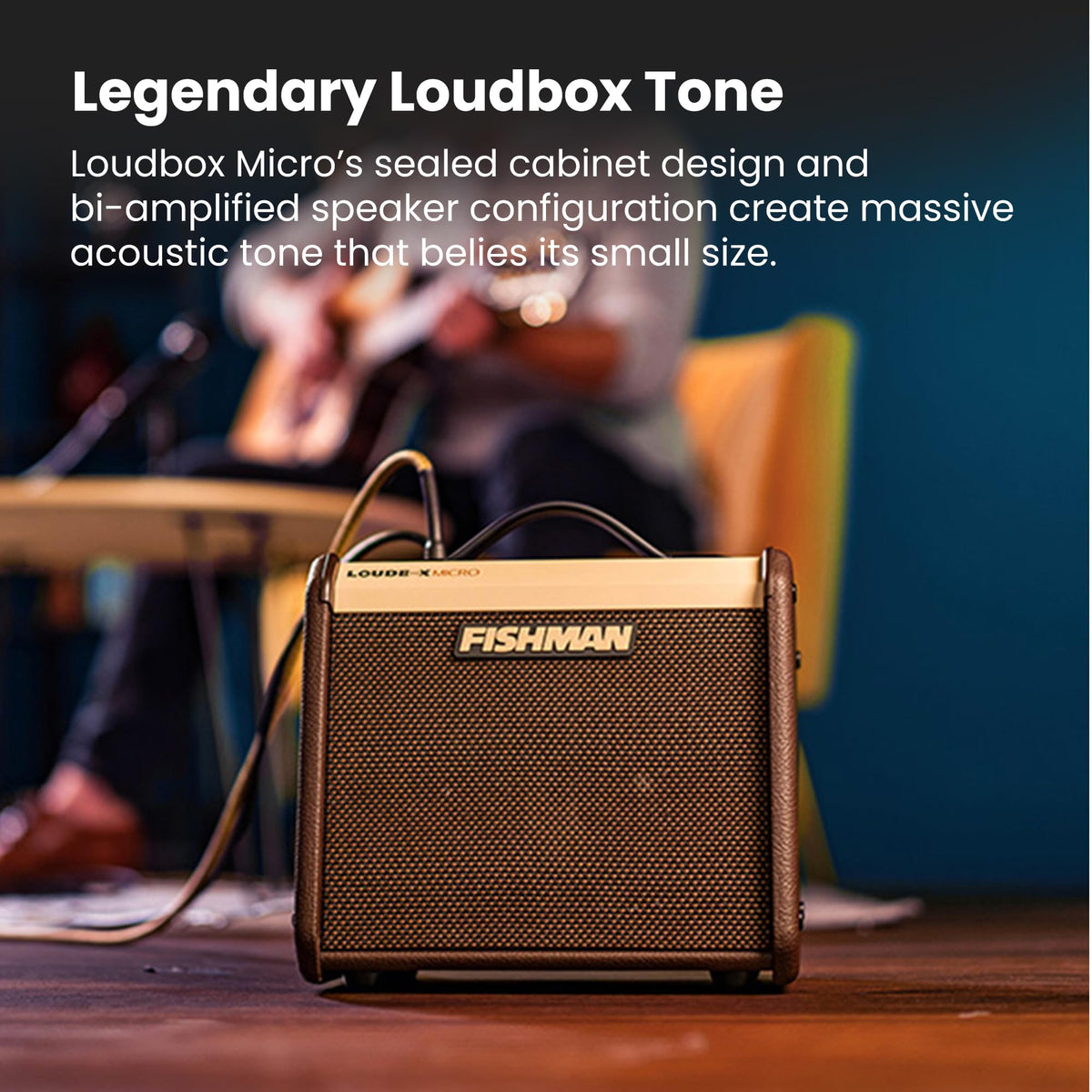 Fishman Loudbox Micro 40-Watt Acoustic Combo Amplifier w/ Cables