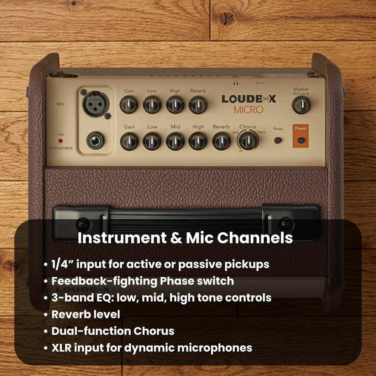 Fishman Loudbox Micro 40-Watt Acoustic Combo Amplifier w/ Cables