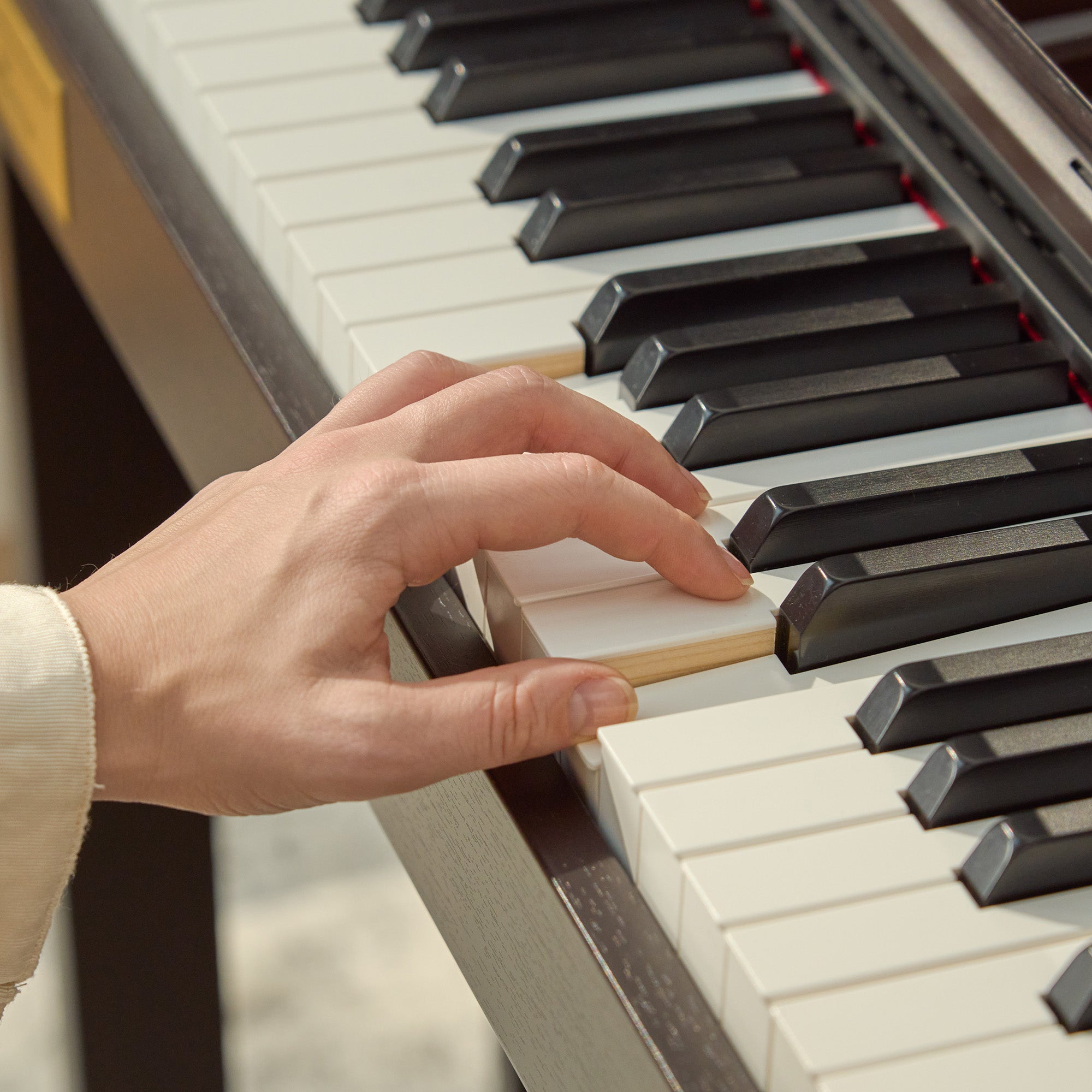 Casio AP-750 Celviano 88-Key Digital Piano - Rosewood