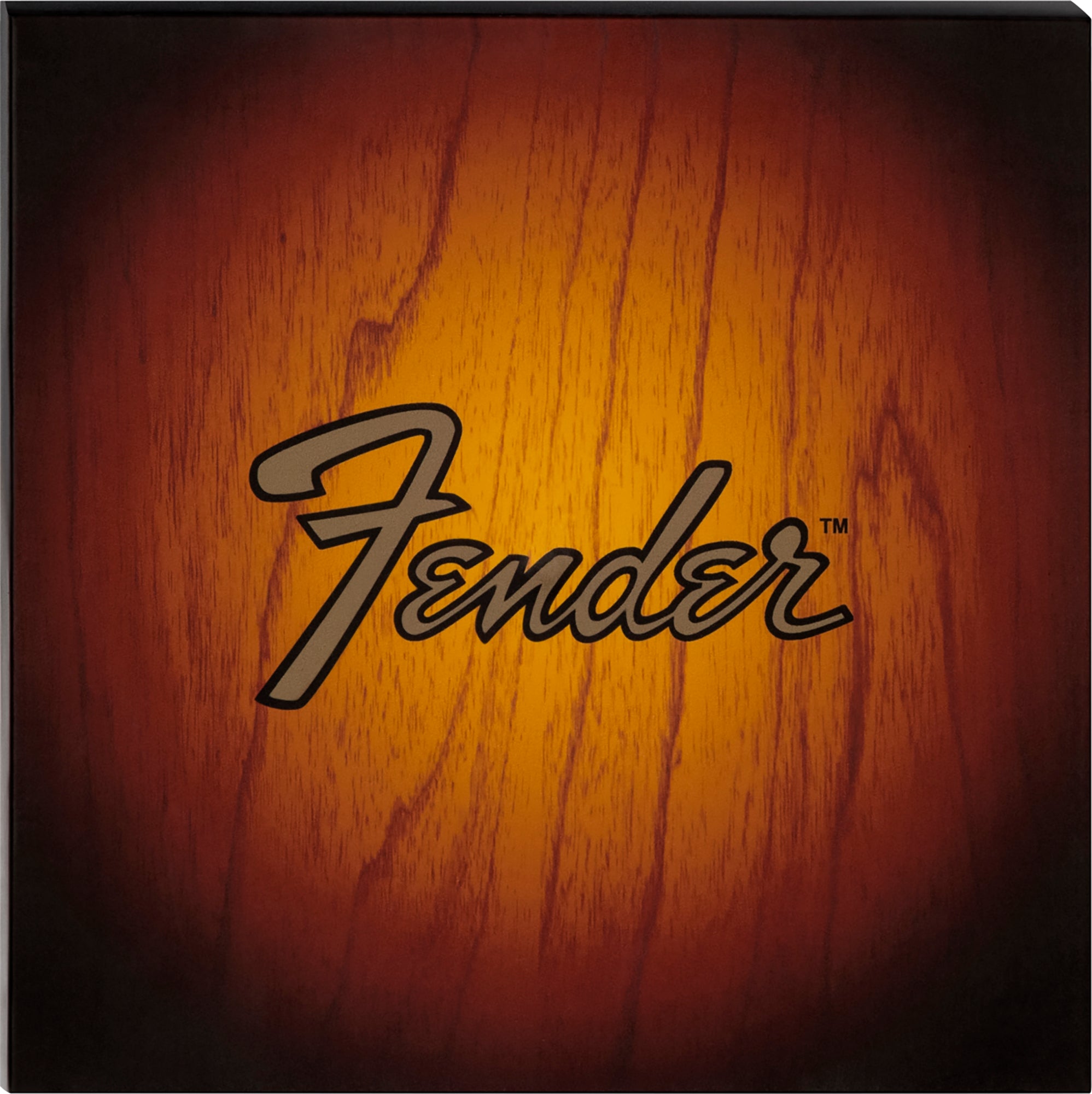 Fender Sunburst Turntable Coaster Set w/ Picks