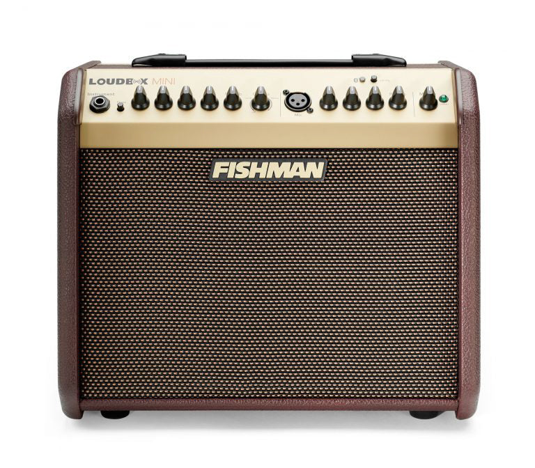 Fishman 60 Watts Loudbox Mini Amplifier