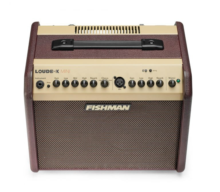 Fishman 60 Watts Loudbox Mini Amplifier