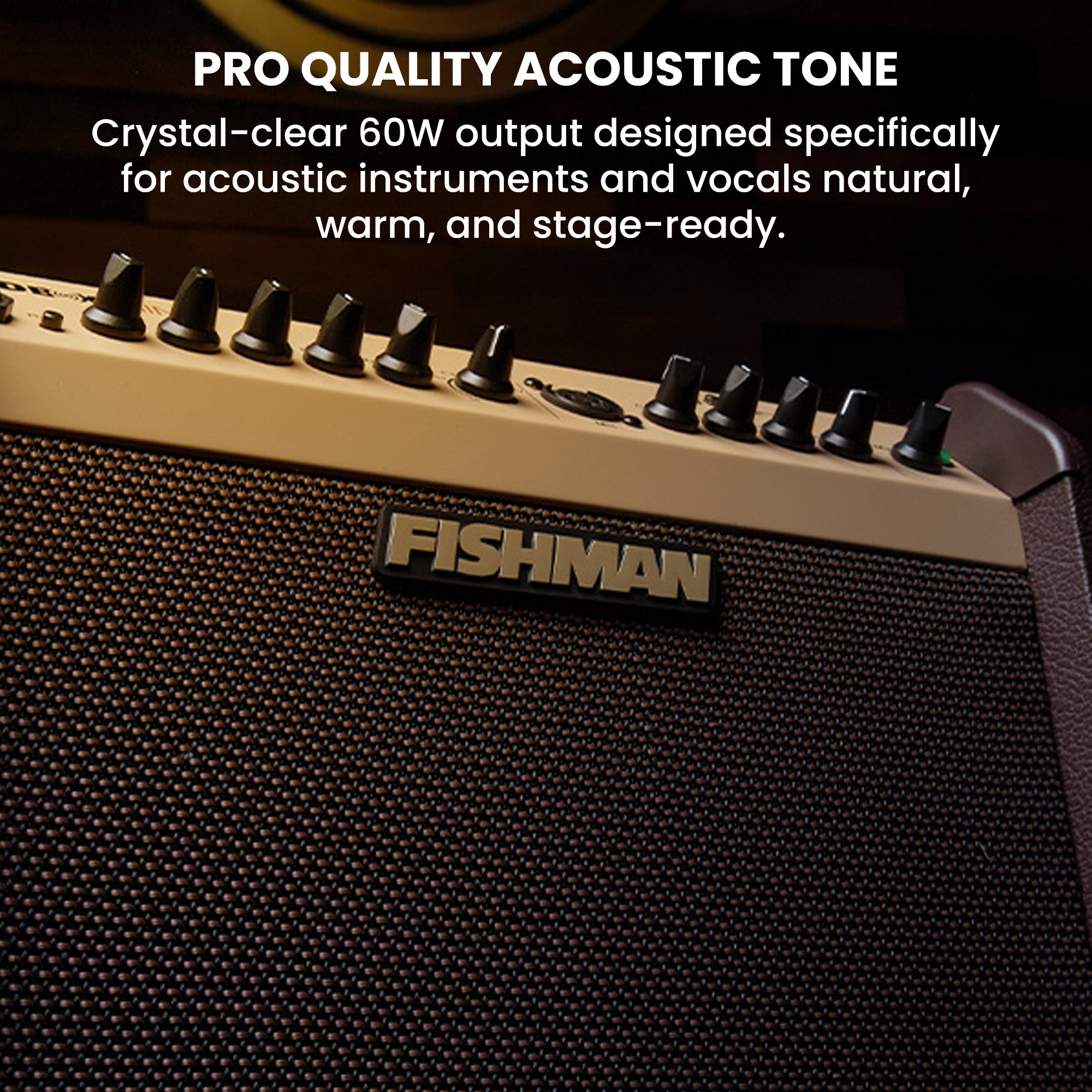 Fishman Loudbox Mini Guitar Combo Amplifier w/ Cables