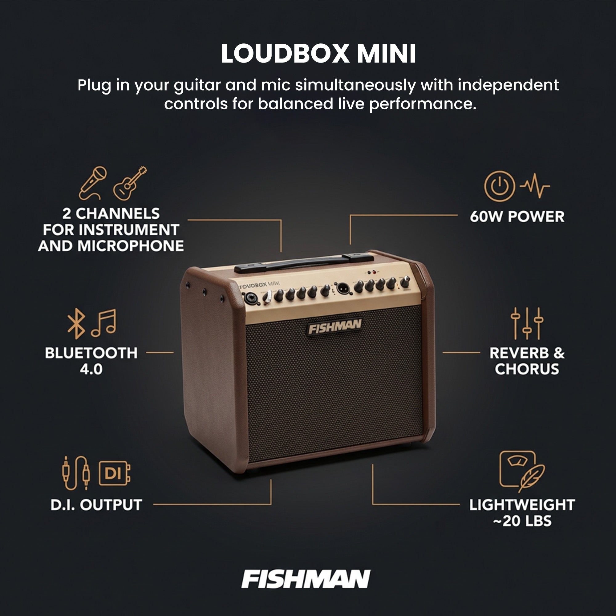 Fishman Loudbox Mini Guitar Combo Amplifier w/ Cables