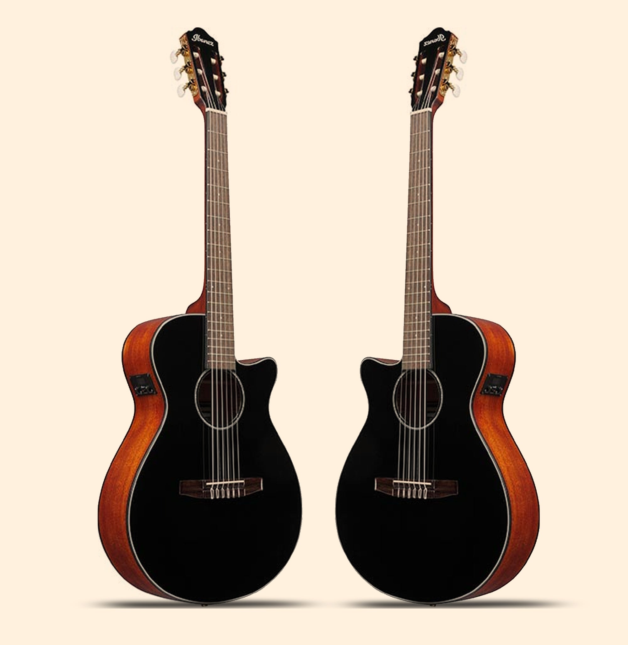 Ibanez AEG50N AEG Nylon String Acoustic-Electric Guitar - Black High Gloss Top w/ Gig Bag