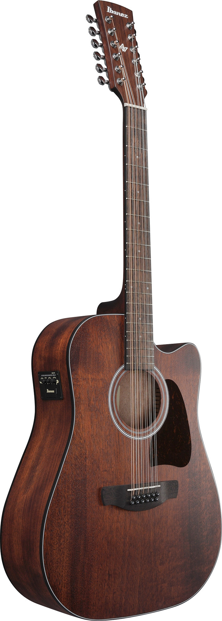 Ibanez AW5412CE Artwood Traditional Acoustic-Electric Guitar - Open Pore Natural