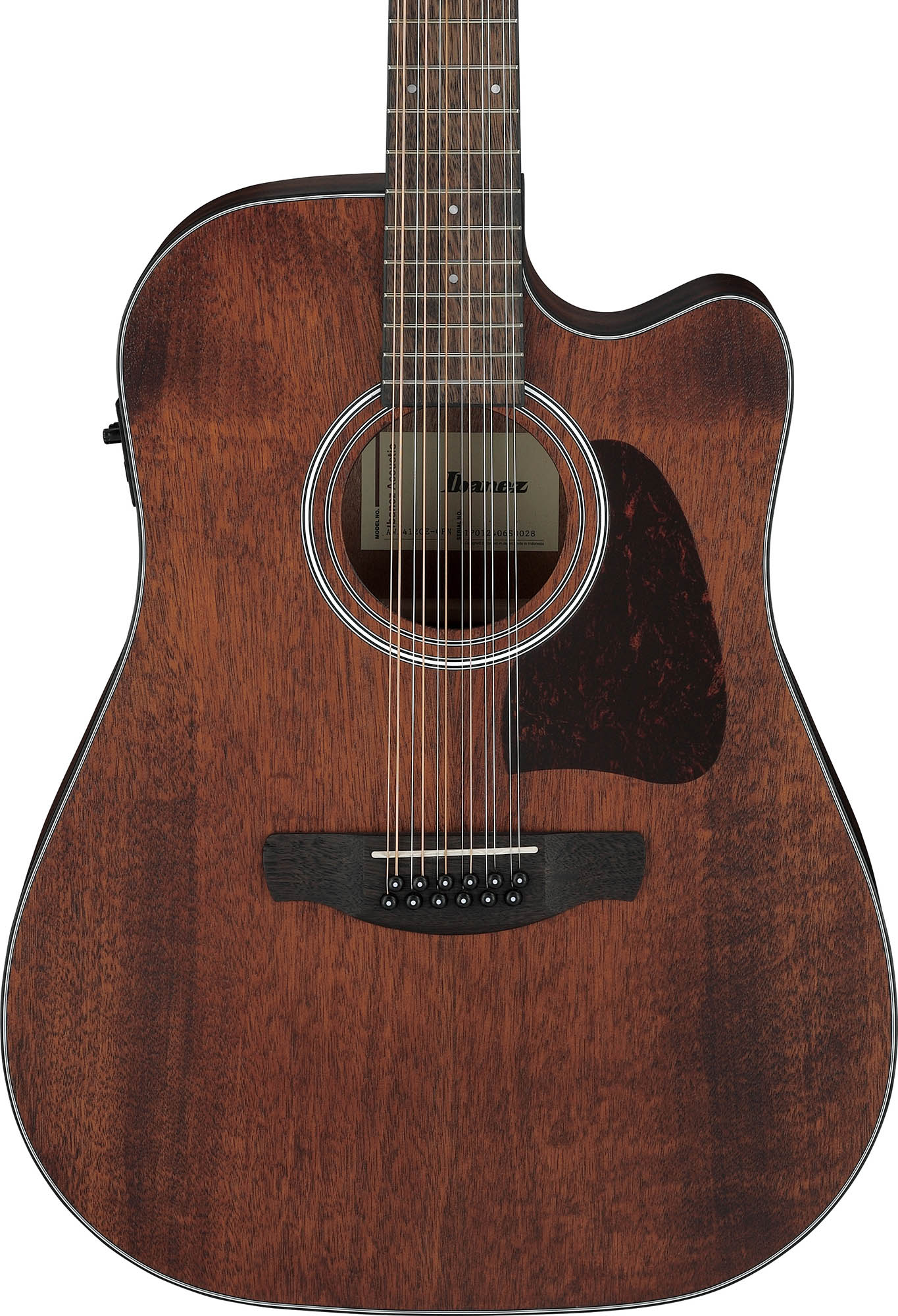 Ibanez AW5412CE Artwood Traditional Acoustic-Electric Guitar - Open Pore Natural