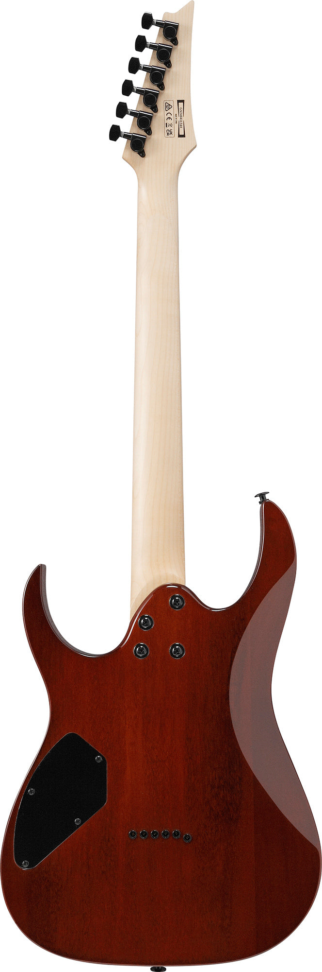 Ibanez GRGR221PA RG Gio Electric Guitar - Aqua Burst