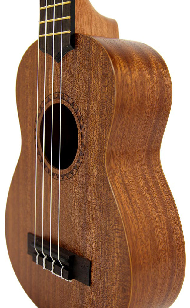 Kala LTP-S Learn to Play Mahogany Ukulele Starter Kit