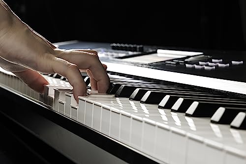 Korg Nautilus 88-Key Music Workstation