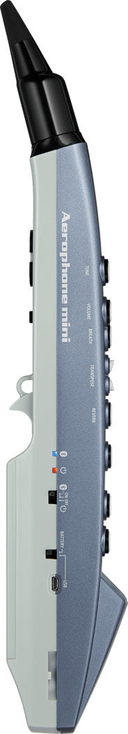 Roland AE-01 Aerophone Mini Digital Wind Instrument - Blue