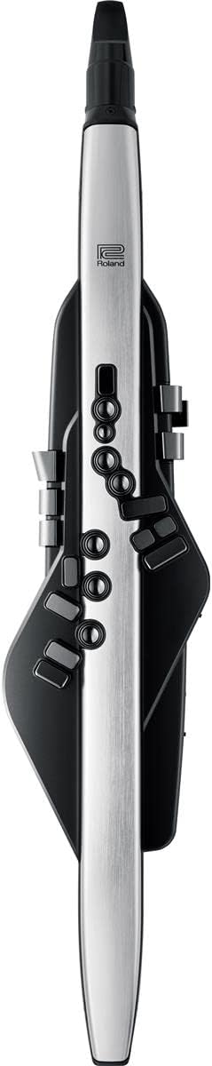 Roland AE-30 Aerophone Pro Digital Wind Instrument