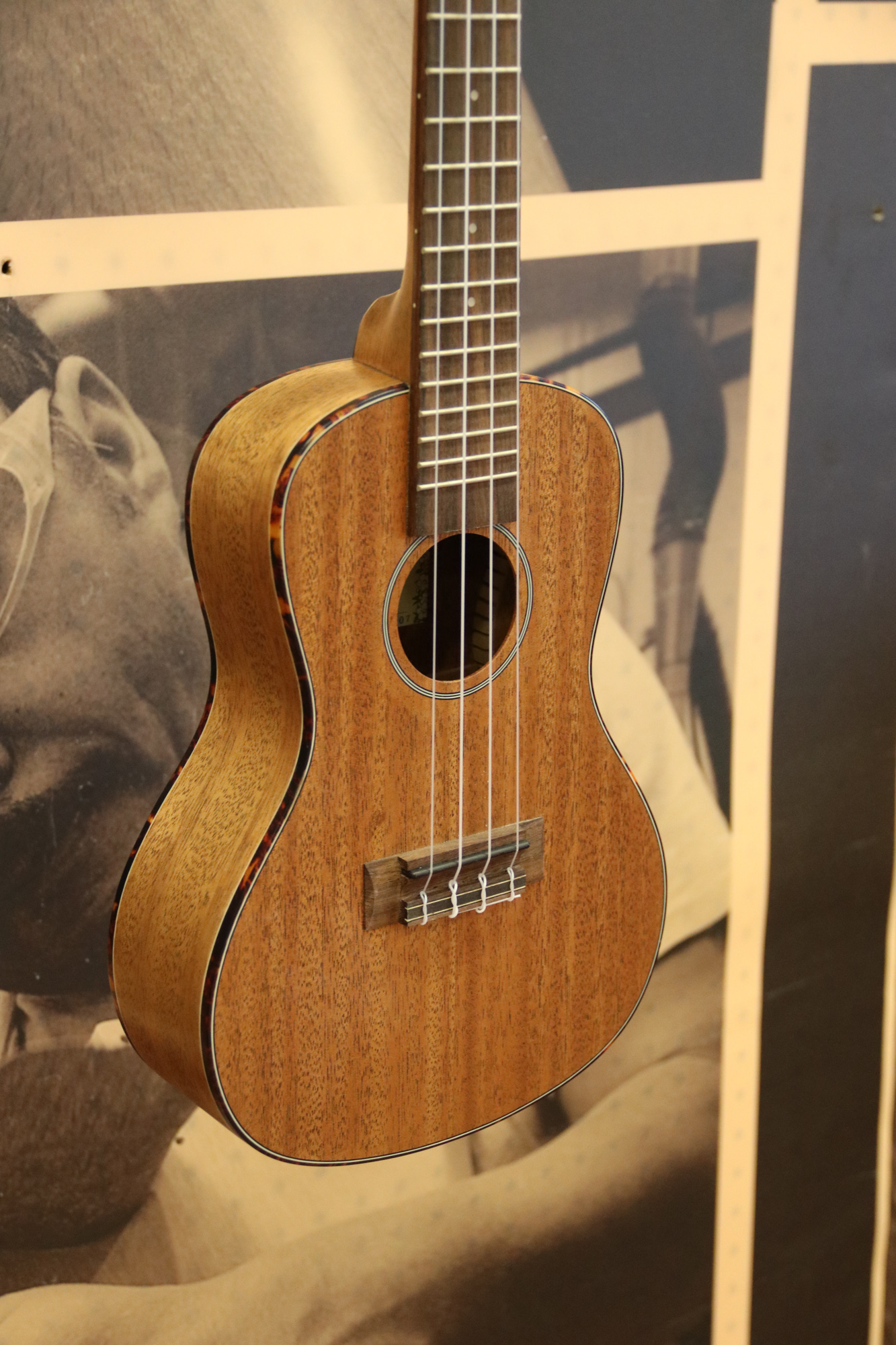 Kala KASMHC Solid Mahogany Concert Ukulele (minor damage to corner of