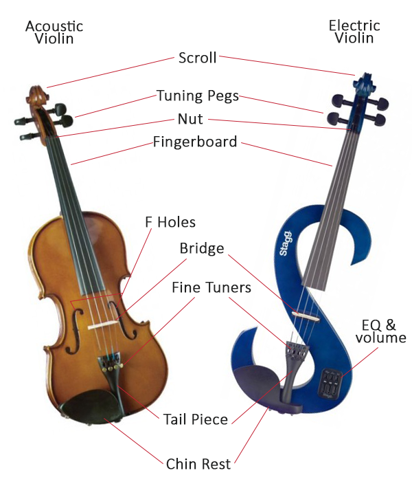 Anatomy of a Violin
