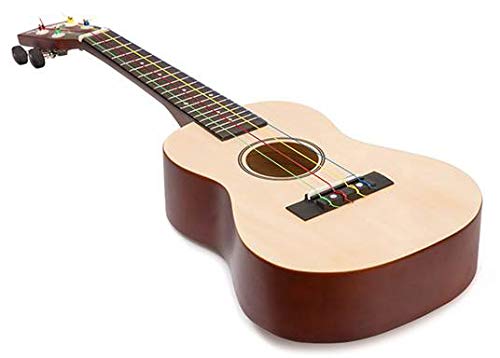 Tanglewood Concert Ukulele w/ Gig Bag