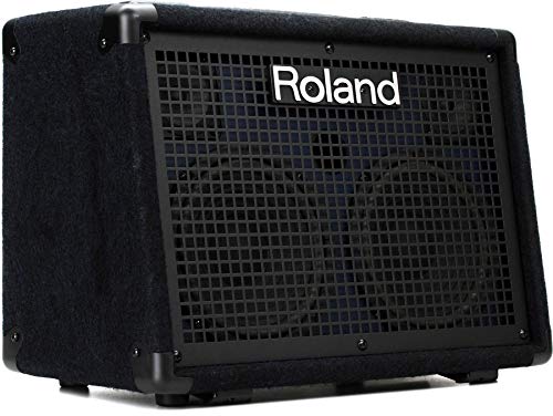 Roland KC-220 Battery-Powered Stereo Keyboard Amplifier