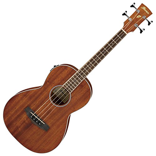 Ibanez PNB14E Acoustic Bass Guitar - Open Pore Natural
