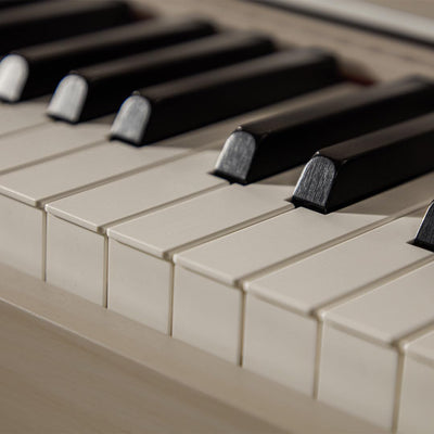 Casio AP-750 Celviano 88-Key Digital Piano - Gray Beige w/ Cover