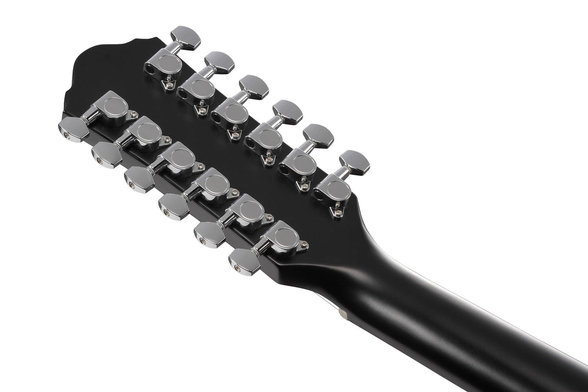 Ibanez AEG5012 AEG 12-String Acoustic-Electric Guitar - Black w/ Gig Bag