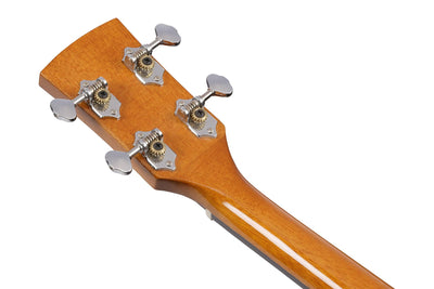 Ibanez PFT2 PF Performance Mini Dreadnought Acoustic Guitar - Natural High Gloss w/ Case