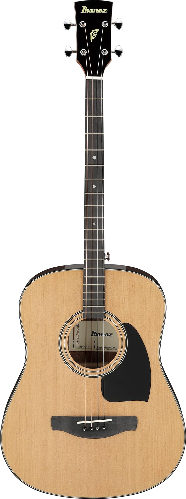Ibanez PFT2 PF Performance Mini Dreadnought Acoustic Guitar - Natural High Gloss w/ Case