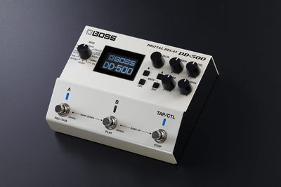 Boss DD-500 Digital Delay w/ Instrument Cable