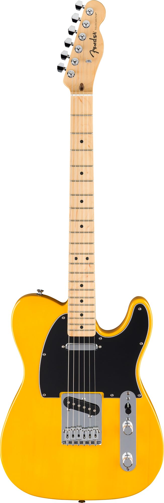 Fender Standard Telecaster - Butterscotch Blonde w/ Guitar Cleaning Kit