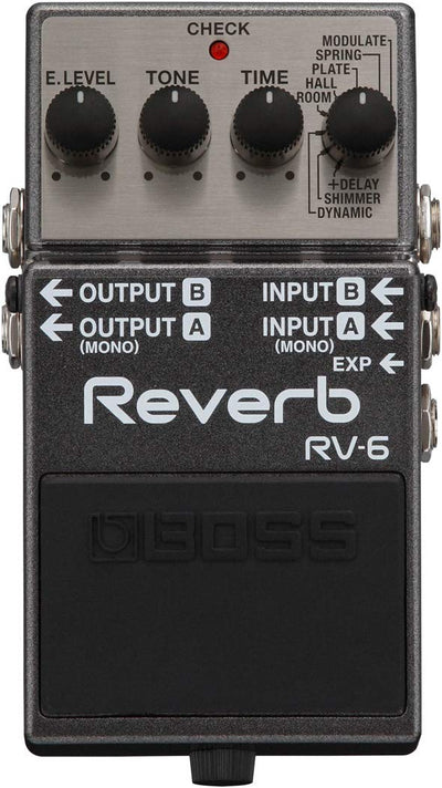 Boss RV-6 Reverb w/ Instrument Cables