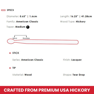 Vic Firth American Classic 2B Drumsticks - 3 Pairs with Austin Bazaar Polishing Cloth