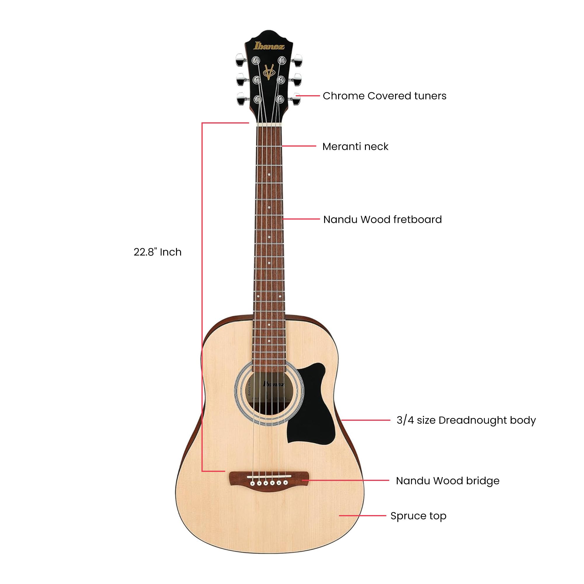 Ibanez IJVC50 JamPack Grand Concert Acoustic Guitar Pack - Open Pore Natural w/ Gig Bag