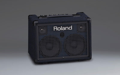 Roland KC-220 Battery-Powered Stereo Keyboard Amplifier w/ Instrument Cable