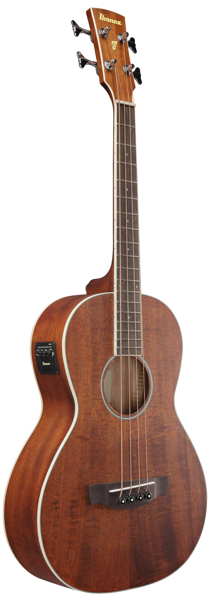 Ibanez PNB14E Acoustic Bass Guitar - Open Pore Natural w/ Gig Bag