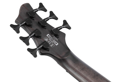 Ibanez BTB806MS 6-String Electric Bass - Transparent Gray Flat w/ Gig Bag