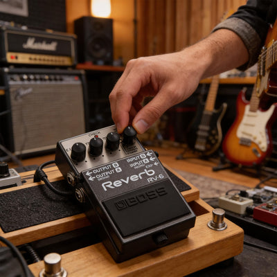 Boss RV-6 Reverb w/ Instrument Cables