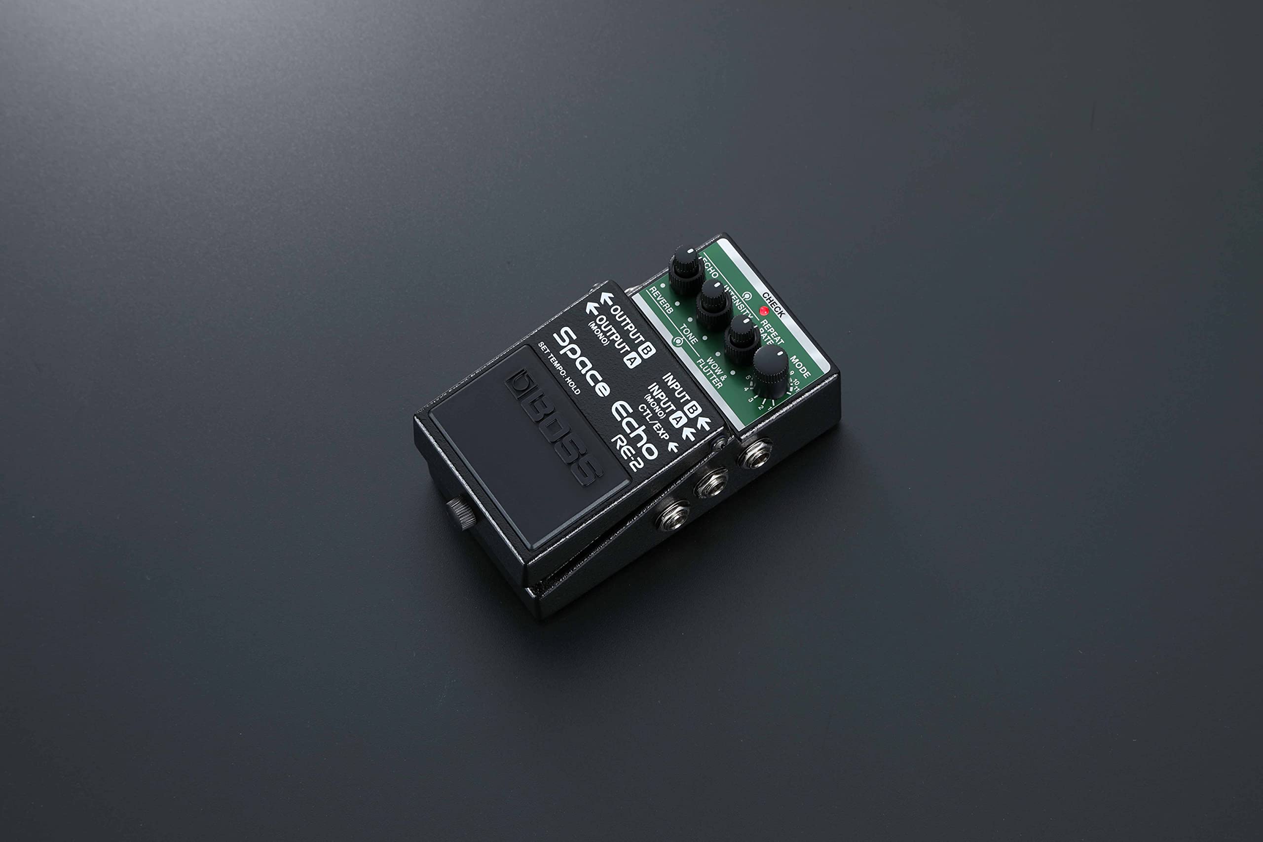 Boss RE-2 Space Echo Delay and Reverb Effects w/ Instrument Cables