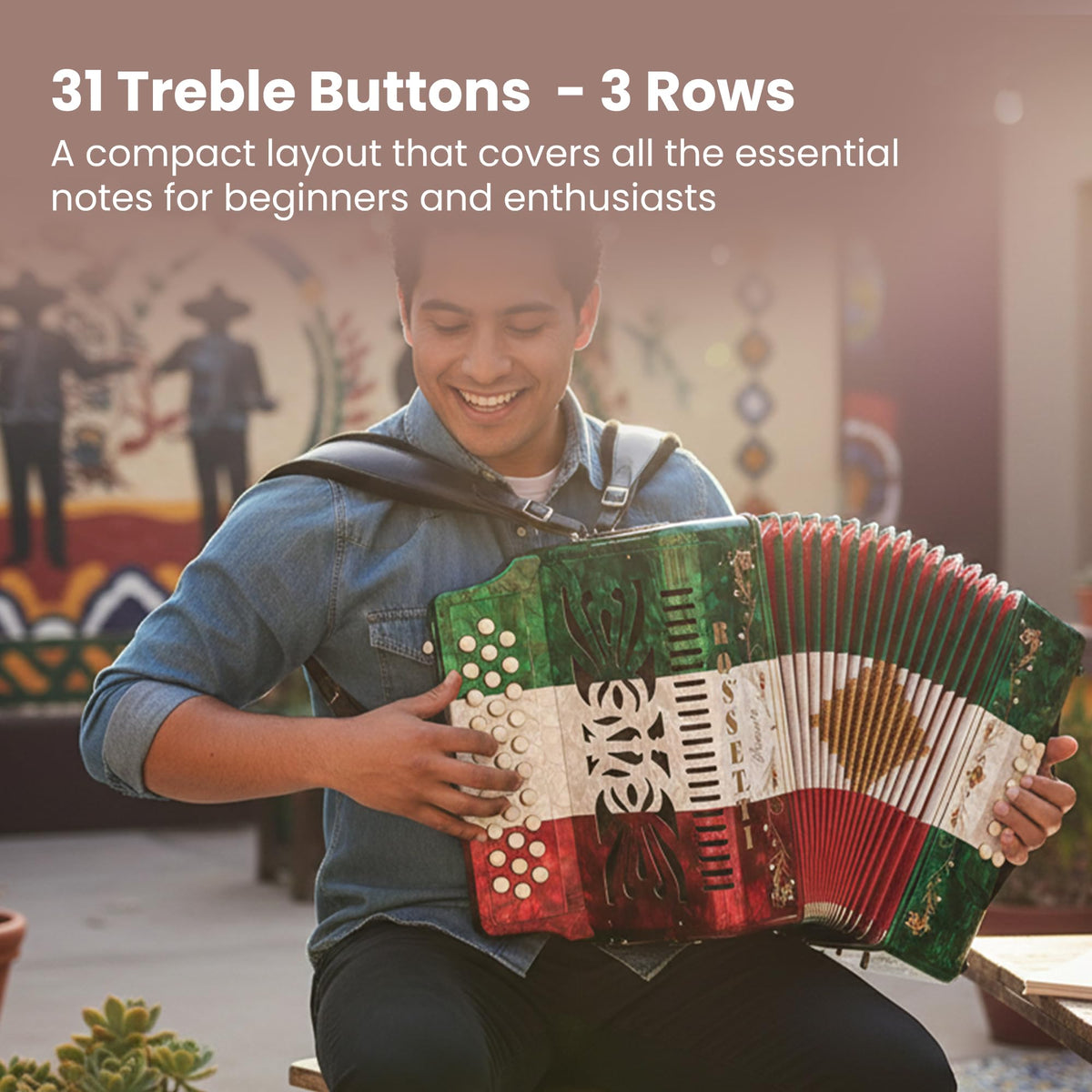 Rossetti 3112 31-Button 12-Bass Diatonic Accordion, Key of GCF - Italian Flag Tricolor w/ Hard Case