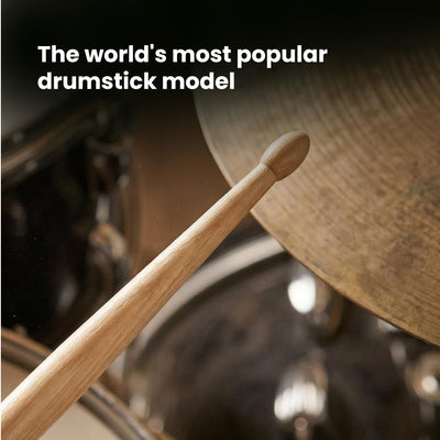 Zildjian 5B Drumsticks - 12 Pack