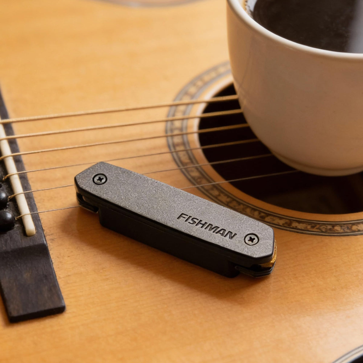Fishman PRO-NEO-D01 Neo-D Single Coil Magnetic Soundhole Pickup w/ Instrument Cable