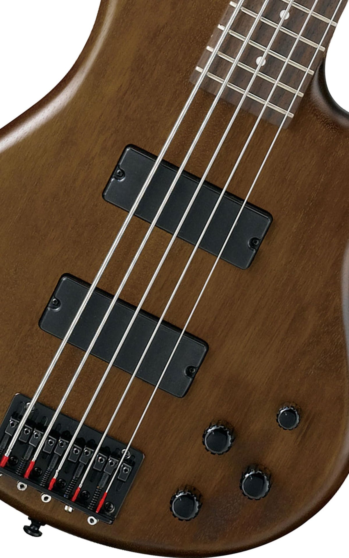 Ibanez GSR205B SR Gio 5-String Bass Guitar - Walnut Flat w/ Gig Bag
