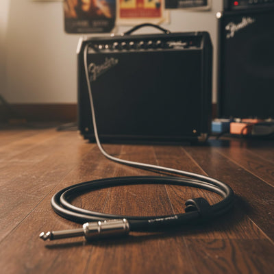 Fender Contour 10-Foot Instrument Cable, Straight-Straight, Black - 2 Pack